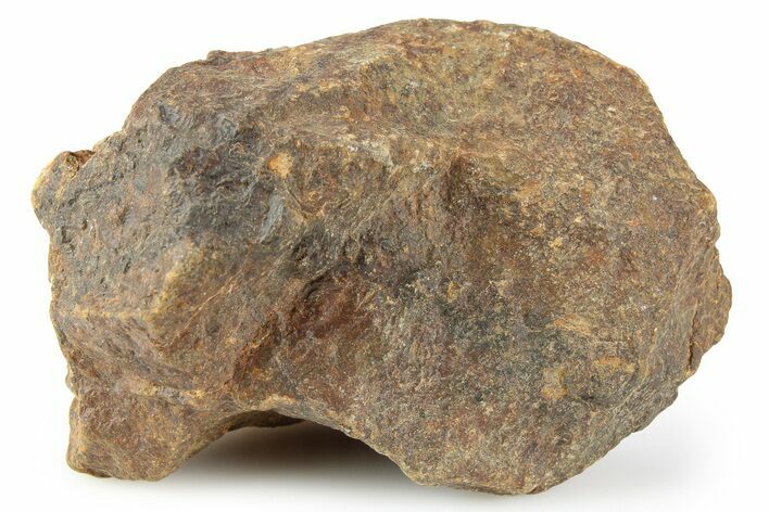 Chondrite Meteorite ( g) - Western Sahara Desert #256575